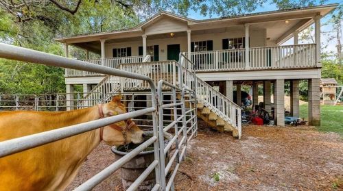 16542 Carlton Lake Rd, Wimauma FL  33598-6320 exterior