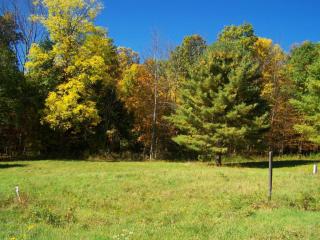 64 Clinton Dr, Factoryville, PA 18419-2608