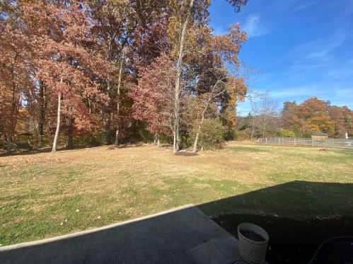 686 Mallard Dr, Grants Lick KY  41001-9333 exterior