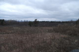 565 Knight Rd, Braman Corners, NY 12053-3805