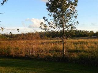 4908 Brightmour Cir, Orlando, FL 32837-4921