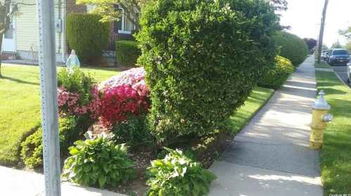 218 Clement Ave, Floral Park NY  11003-2706 exterior