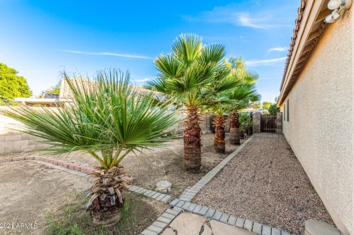 4138 Cactus Wren Dr, Phoenix AZ 85051-8186 exterior