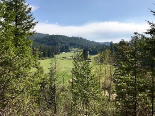 9848 Fern Creek Rd, Rose Lake, ID 83810-9586