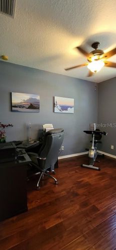 9320 Black Thorn Loop, Land O Lakes FL  34638-2530 exterior