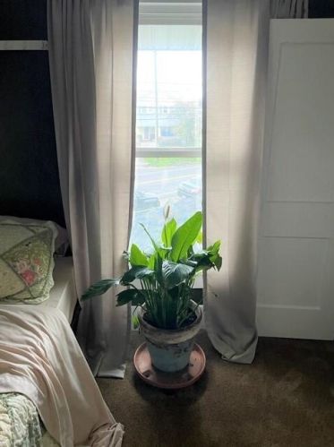 868 Bellefontaine Ave, Marion OH  43302-6151 exterior