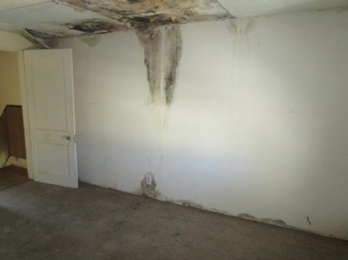 236 18th Ave, Whitaker PA  15120-1816 exterior