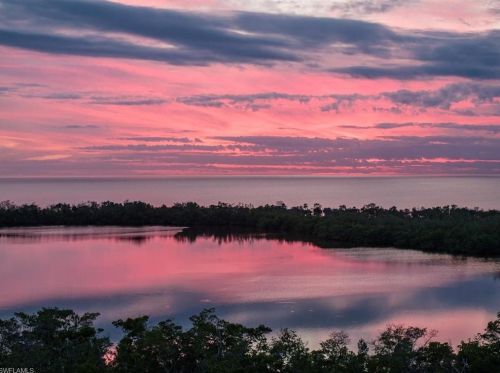 6849 Grenadier Blvd, Naples FL  34108-7221 exterior