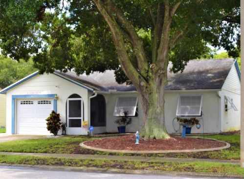 3215 Cody St, New Port Richey, FL 34655-3418