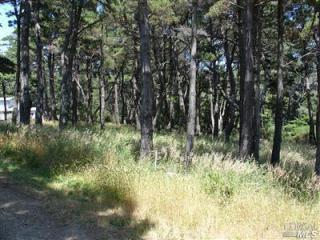 47261 Havens Neck Dr, The Sea Ranch, CA 95445-8323
