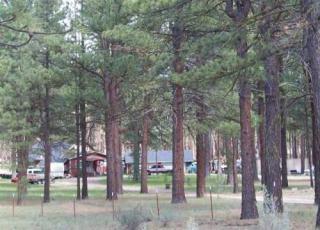 48220 Sycan Rd, Beatty, OR