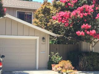 767 Danforth Ter, Sunnyvale, CA 94087-1226