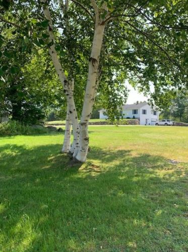 119 Jason Ave, Northumberland, NH 03583-6710