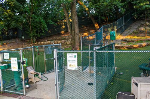 73-53 255th St, Floral Park NY  11004-1133 exterior