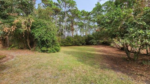 164 Bayshore Dr, Saint George Island FL  32328-3370 exterior