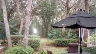 995 Dyson Dr, Casselberry FL  32708-4517 exterior