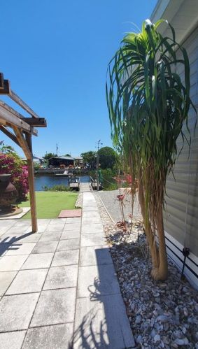 13120 Ballast Ct, Port Richey FL  34667-1738 exterior