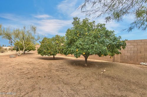 38301 15th Ave, Phoenix AZ 85041-4712 exterior