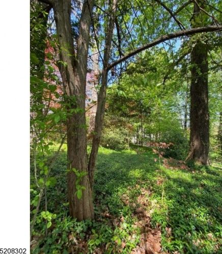 128 Fairmount Ave, Chatham Township NJ  07928-1836 exterior