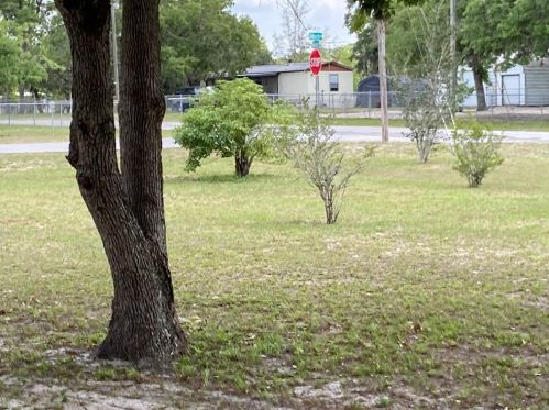 17741 Nicks Dr, Brooksville, FL 34610-6811