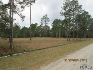 5667 Cherry Ln, Bunnell, FL 32110-4665