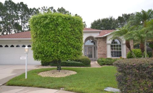 1248 Eveningside Ct, New Port Richey, FL 34655-7009