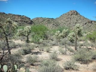 13188 Lost Wells Trl, Tucson, AZ