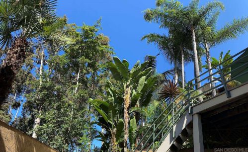 2744 Frankfort St, San Diego, CA 92117-6745