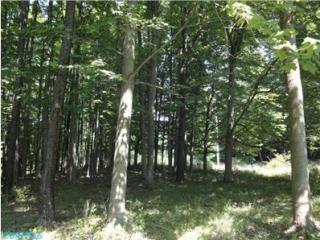 3193 Canyon Rd, Granville, OH 43023-9301