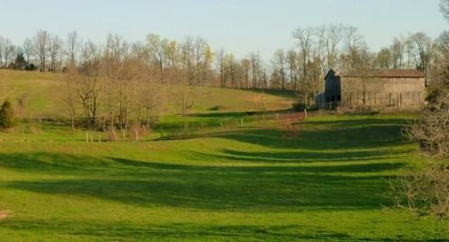1083 Wilbur Glass Rd, Goodluck, KY 42129-7089