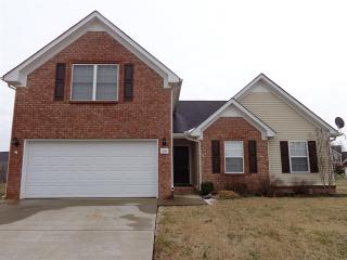 3215 Cinch Ct, Murfreesboro TN  37128-8219 exterior