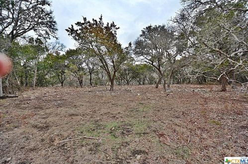 9420 Rebecca Creek Rd, Spring Branch, TX 78070