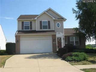 1088 Ledgestone Dr, Wadsworth, OH 44281-8136