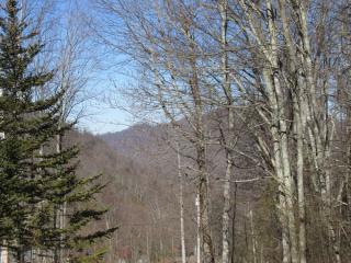 290 High Top Dr, Canton, NC 28716