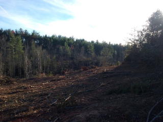 4141 Gwaltney Rd, Morganton, NC 28655-7513