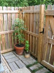 795 Sherwood Hills Dr, Blmgtn IN  47401-8184 exterior