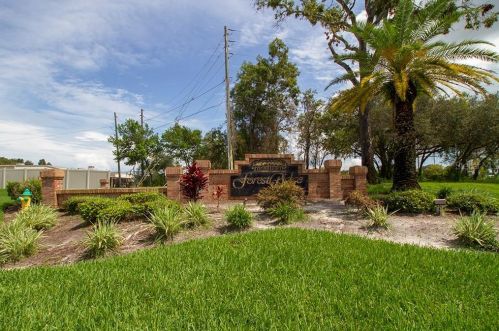 311 Wood Ibis Ave, Tarpon Springs, FL 34689-7539