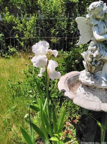 18 Simsbury St, Waterbury CT  06704-2719 exterior