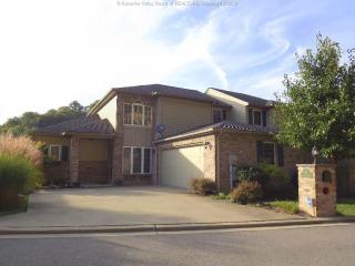 217 Mariel Way, Charleston, WV 25311-1599