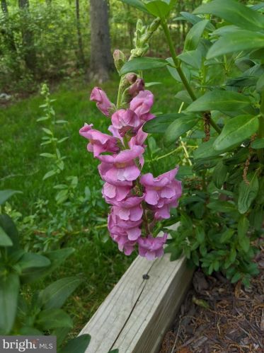 8819 Clinton Dr, Nokesville VA  20181-3205 exterior