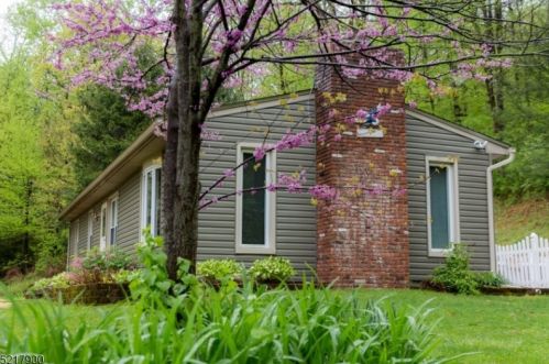 370 Mountain Lake Rd, Great Meadows, NJ 07838-2348