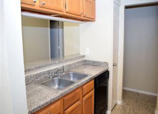 3913 Bigleaf Ln, Fort Worth TX  76137-1335 exterior