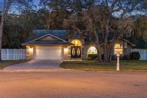 14206 Coppertree Ct, Port Richey, FL 34667-8412