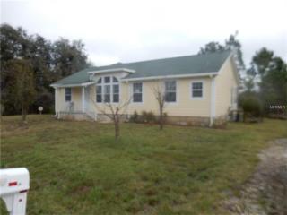 34102 August Ave, Ridge Manor Estates, FL 33597-9713