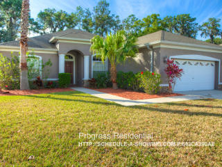 11742 Summer Springs Dr, Riverview FL  33579-4074 exterior