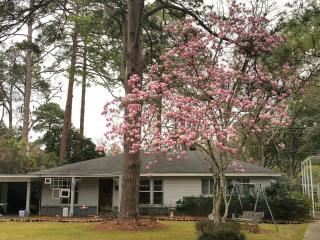 1612 Milton St, Monroe, LA 71201-3440