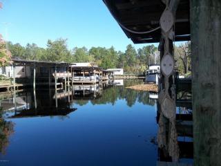 115 Walt Ln, Satsuma, FL 32189-2239