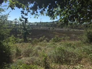 16201 Innerarity Point Rd, Pensacola, FL 32507-8375