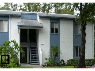 118 Cypress Ln, Oldsmar, FL 34677-2123