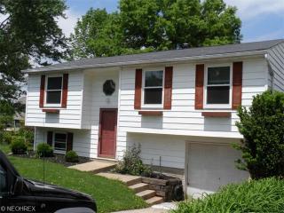 225 Overlook Dr, Medina, OH 44256-2915
